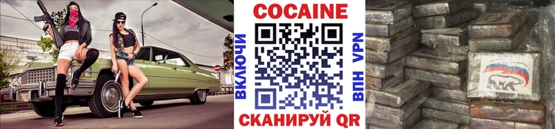 Купить закладки  Вичуга  Cocaine Fish Scale 