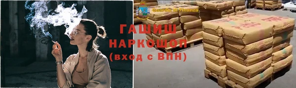 индика Алзамай