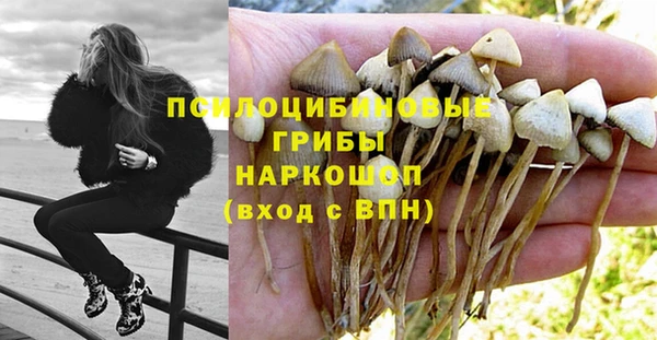 ешки Алексин