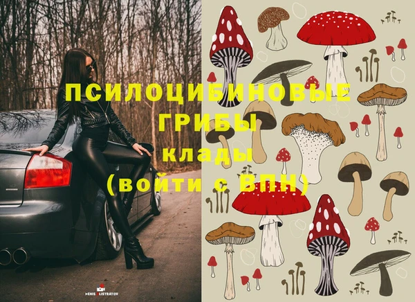 индика Алзамай