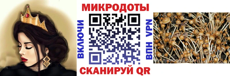 Галлюциногенные грибы Psilocybine cubensis  Купить где  Вичуга 